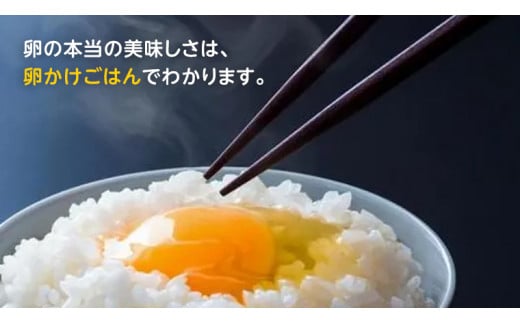 キトサン 健康 たまご 80個入 赤玉 卵 タマゴ 鶏卵 鶏 卵かけごはん ゆで卵 赤たまご 国産 茨城県 玉子