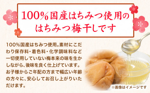 紀州南高梅使用 はちみつうす塩味完熟梅干し 無選別1kg 厳選館 《90日以内に出荷予定(土日祝除く)》 和歌山県 日高川町 紀州南高梅 はちみつうす塩 梅干し