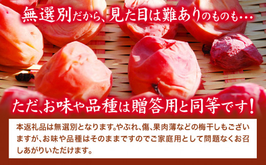 紀州南高梅使用 はちみつうす塩味完熟梅干し 無選別1kg 厳選館 《90日以内に出荷予定(土日祝除く)》 和歌山県 日高川町 紀州南高梅 はちみつうす塩 梅干し