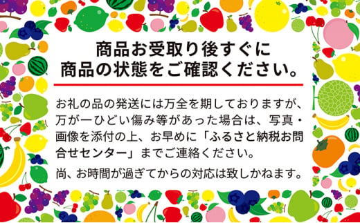 北海道 仁木町産 サクランボ 紅秀峰  800g 和田農園  