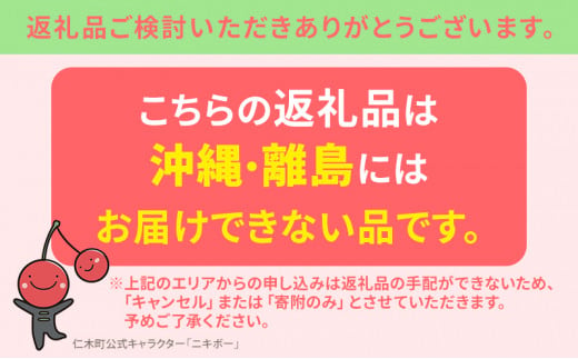 北海道 仁木町産 サクランボ 紅秀峰  800g 和田農園  