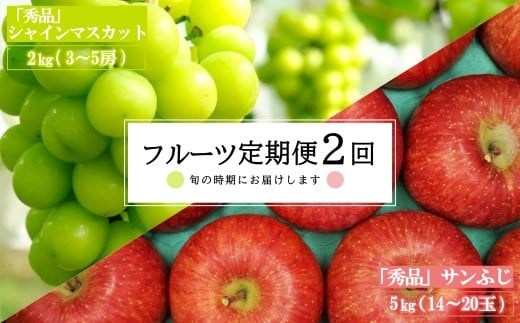 【2024年9月～12月発送分先行受付】【定期便2回】山形旬の果物2選（シャインマスカット/りんご）_H183(R6)