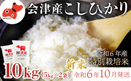 ＜令和6年産 先行受付 / 10月より順次発送＞会津柳津産「柳津米」特別栽培米 10kg【1470595】