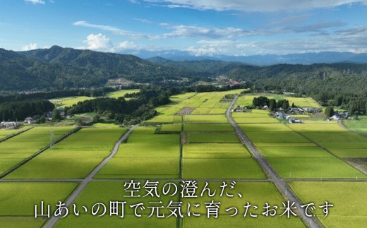 ＜令和6年産 先行受付 / 10月より順次発送＞会津柳津産「柳津米」特別栽培米 10kg【1470595】