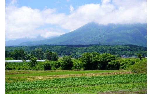 黒姫山のふもと。耕しやすく、水はけの良い火山灰土の土質が、健やかな作物を育てます