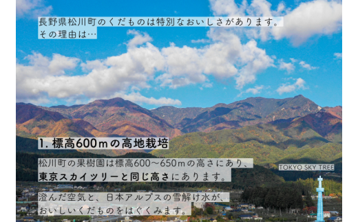 KW08-24A 梨 幸水 約5kg（9～14玉） 松川町産 贈答 ／ 8月下旬頃～配送 // 長野県 南信州 松川町 和梨 梨 なし ナシ 産地直送 農家直送 農家支援 贈答 幸水 果物 フルーツ