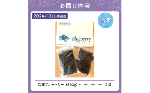 【先行予約：2024年12月以降発送】冷凍ブルーベリー 500g×2袋（チャック付き袋）【アイケイファーム余市】