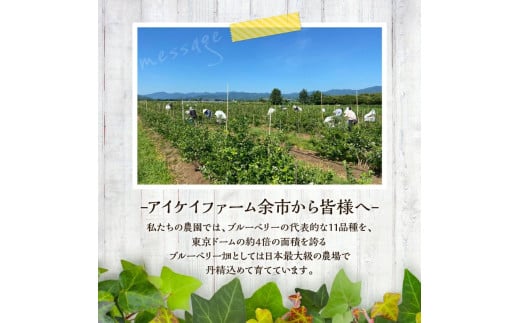 【先行予約：2024年12月以降発送】冷凍ブルーベリー 500g×2袋（チャック付き袋）【アイケイファーム余市】