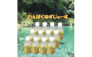 ttm03わんぱくゆずジュース（280ml×12本）