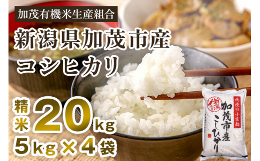 【令和6年産新米先行予約】新潟県加茂市産コシヒカリ 精米20kg（5kg×4）白米 加茂有機米生産組合