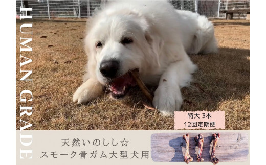 FB144 大型犬向け☆天然いのししのスモーク骨ガム3本【定期便】全12回