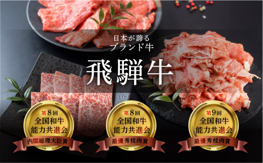 【年内順次発送】【飛騨牛】本日の希少部位・ランプ焼肉セット  各450g  【冷凍】ブランド牛 牛肉 国産 下呂温泉 牛 食べ比べ 焼肉 焼き肉 年内配送 年内発送 年内に届く 年内お届け