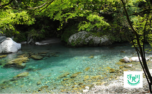 山奥の秘境「汗見川ふれあいの郷清流館」素泊まり宿泊券（1名様分）