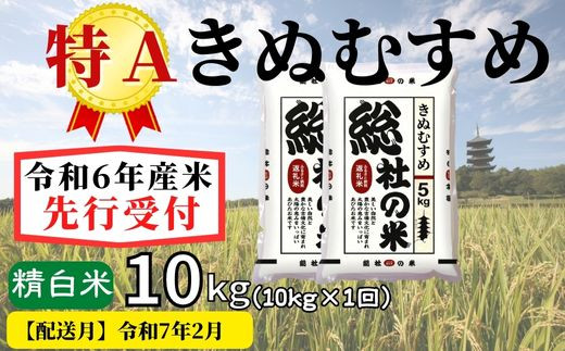 【令和6年産】特Aきぬむすめ【精白米】10kg 岡山県総社市産米〔令和7年2月配送〕24-011-016