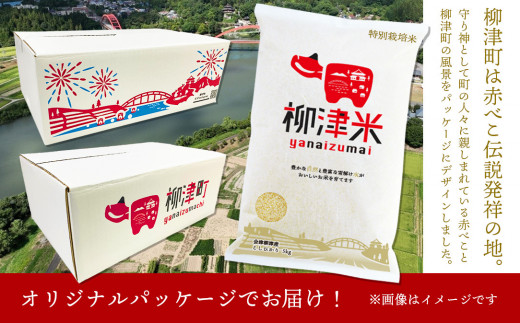 ＜令和6年産 先行受付 / R7.3月より順次発送＞会津柳津産「柳津米」特別栽培米 10kg【1470622】