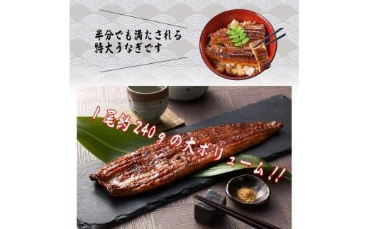 うなぎ蒲焼き2尾入り 480g（蒲焼たれ4袋 山椒付き）【年末発送：12月25日～29日発送】【KS6】