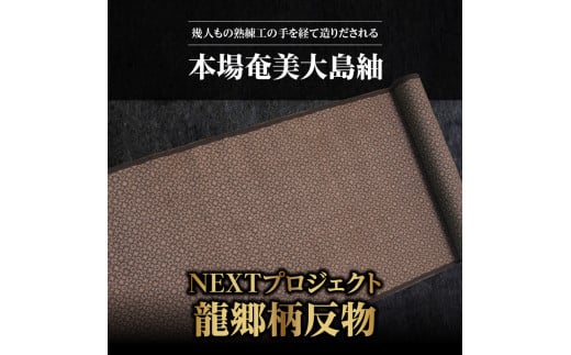 本場奄美大島紬NEXTプロジェクト 龍郷柄 反物　A060-007