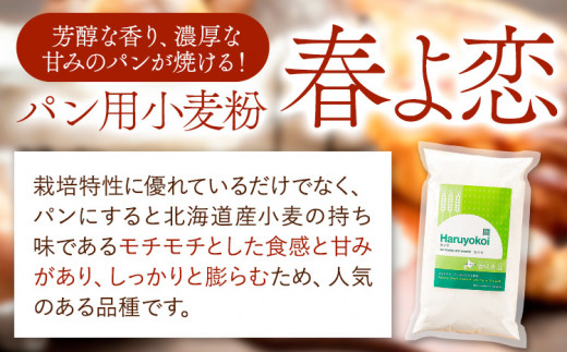 3ヶ月定期便 北海道十勝前田農産パン用小麦粉「春よ恋」5kg【3ヶ月】有限会社 十勝太陽ファーム 《お申込み月の翌月から出荷開始》送料無料 北海道 本別町