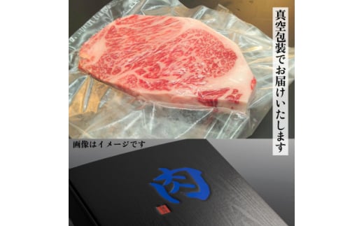 常陸牛(ひたちぎゅう)A5等級 サーロインステーキ　500g(250g×2枚)あらぎりわさび1本付【1520027】