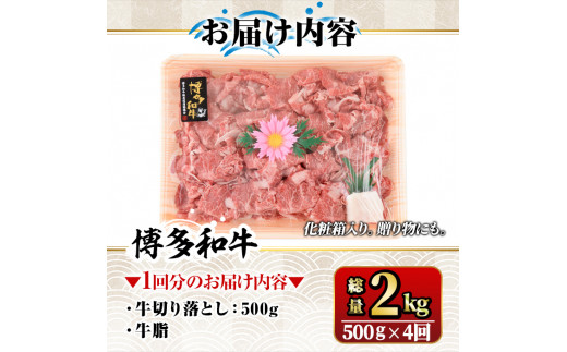 【ksg1369】＜定期便・全4回(連続)＞博多和牛A5～A4 切り落とし(総量2kg) 牛肉 黒毛和牛 国産 霜降り化粧箱 贈答 ギフト プレゼント ＜離島配送不可＞【マル五】