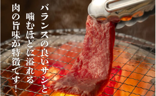 大野市の老舗焼肉店 六間星山の「牛カルビ お試し200g 味付け」（冷凍）