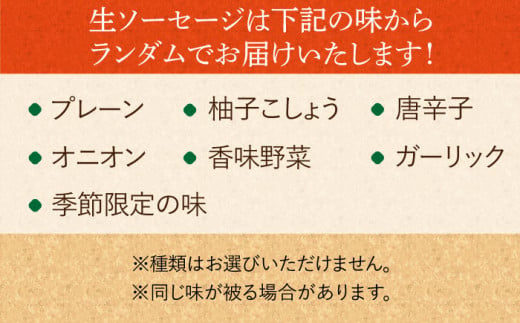 ベーコン ブロック ソーセージ ウインナー 冷凍 ふるさと納税 限定 セット 定期便 定期 毎月