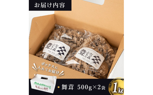 七つ森ふもと舞茸 1kg まいたけ マイタケ きのこ 農家直送 天ぷら すき焼き 炊き込みご飯 宮城県産 【株式会社七つ森ふもと舞茸】ta325