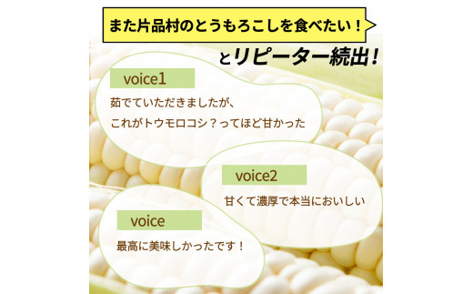 【8月10日頃より順次配送】片品村産 白いとうもろこし （ホイップコーン） 約５kg