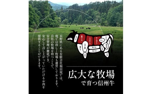 【りんごで育った信州牛】焼肉用 約900g 【 牛肉 信州牛 焼肉 黒毛和牛 A5 肉 お肉 牛 和牛 焼き肉 BBQ バーベキュー ギフト A5等級 冷蔵 長野県 長野 】