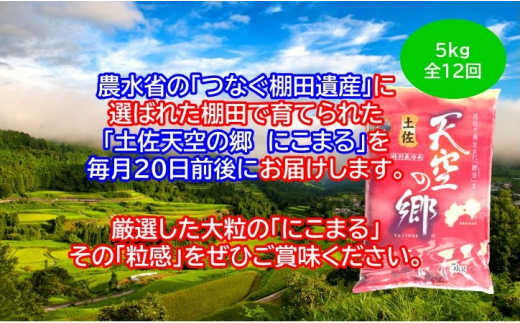 2010年・2016年 お米日本一コンテスト inしずおか 特別最高金賞受賞 土佐天空の郷　にこまる　5kg　毎月お届け全12回