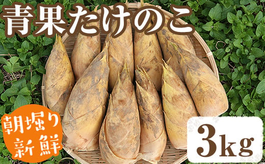 青果たけのこ(約3kg)