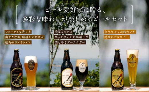 【復興支援】奥能登ビール日本海倶楽部330ｍｌ瓶6本セット