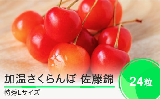 先行予約 加温 さくらんぼ 佐藤錦 特秀Lサイズ プレゼント ギフト チョコ箱入 24粒 2025年産 令和7年産 山形県産 ns-sntlc24