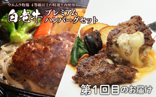 定期便 頒布会 全3回 お楽しみ 白老牛 ハンバーグ 焼肉 ステーキ ウエムラ牧場 