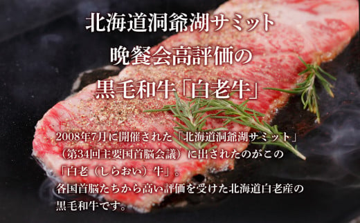 定期便 頒布会 全3回 お楽しみ 白老牛 ハンバーグ 焼肉 ステーキ ウエムラ牧場 