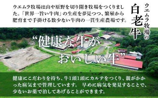 定期便 頒布会 全3回 お楽しみ 白老牛 ハンバーグ 焼肉 ステーキ ウエムラ牧場 