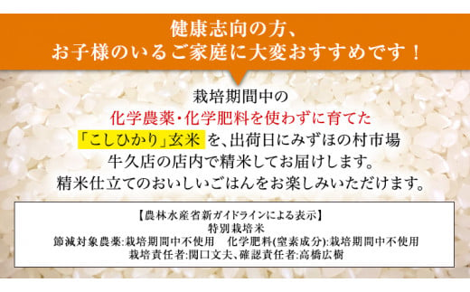 《 特別栽培米 》 令和6年産 精米日出荷 関口さんの「 こしひかり 」 4.5kg ( 玄米時 5kg ) 新鮮 精米 コシヒカリ 米 こめ コメ 特別栽培農産物 認定米 新米