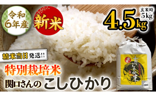 《 特別栽培米 》 令和6年産 精米日出荷 関口さんの「 こしひかり 」 4.5kg ( 玄米時 5kg ) 新鮮 精米 コシヒカリ 米 こめ コメ 特別栽培農産物 認定米 新米