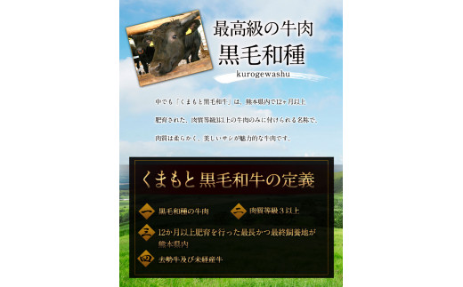 くまもと黒毛和牛 あしきた牛切落し 熊本県産《60日以内に出荷予定(土日祝除く)》熊本県 葦北郡 津奈木町 あしきた農業協同組合 JAあしきた あしきた牛 和王 黒毛和牛 肉