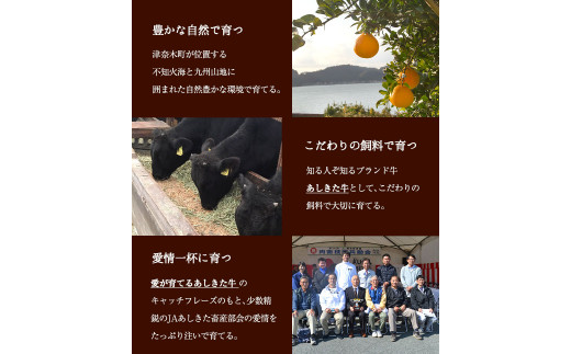 くまもと黒毛和牛 あしきた牛切落し 熊本県産《60日以内に出荷予定(土日祝除く)》熊本県 葦北郡 津奈木町 あしきた農業協同組合 JAあしきた あしきた牛 和王 黒毛和牛 肉