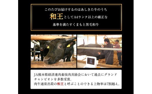 くまもと黒毛和牛 あしきた牛切落し 熊本県産《60日以内に出荷予定(土日祝除く)》熊本県 葦北郡 津奈木町 あしきた農業協同組合 JAあしきた あしきた牛 和王 黒毛和牛 肉