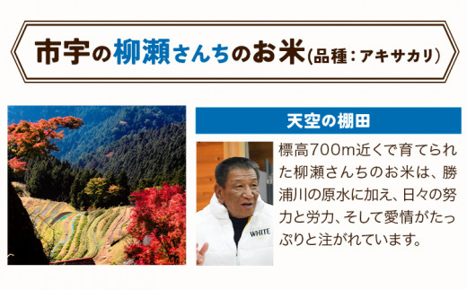 かみかつ棚田未来づくり協議会 米 かみかつの棚田米 柳瀬さんちのお米 アキサカリ レターパック配送 3合《30日以内に出荷予定(土日祝除く)》 徳島県 上勝町 ふるさと納税 送料無料