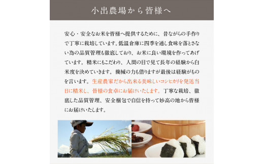 【2025年2月下旬発送】令和6年産 新潟県妙高産こしひかり「星降る里」10kg