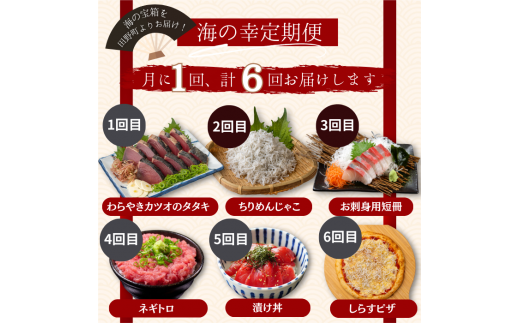 【四国一小さなまち】《カネアリ水産》魚屋のうまいものづくし  6ヶ月定期便 （全6回）