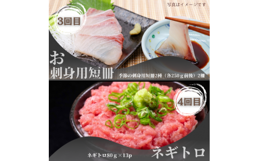 【四国一小さなまち】《カネアリ水産》魚屋のうまいものづくし  6ヶ月定期便 （全6回）