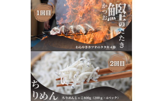 【四国一小さなまち】《カネアリ水産》魚屋のうまいものづくし  6ヶ月定期便 （全6回）