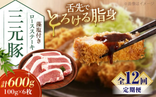 肉 豚肉 ロース ステーキ ステーキ用 とんかつ トンテキ 生姜焼き 