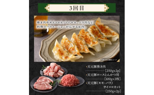 【定期便】 4ヶ月定期便 天元豚 セット 全4回 豚肉 ロース バラ 小間 モモ 挽き肉 便利 小分け 冷凍 豚肉 しゃぶしゃぶ 焼肉 とんかつ 定期 コース 食べ比べ 詰め合わせ ブランド豚 ロース ひき肉 小間 バラ モモ 豚 スライス サイコロ おかず お取り寄せ 東北 山形県 米沢市