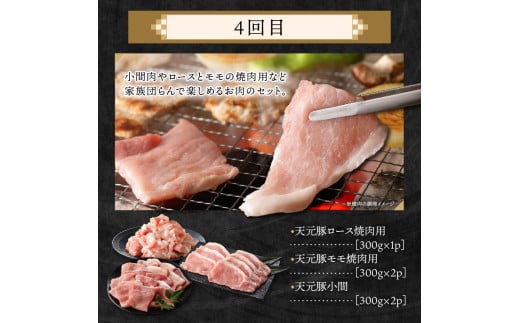 【定期便】 4ヶ月定期便 天元豚 セット 全4回 豚肉 ロース バラ 小間 モモ 挽き肉 便利 小分け 冷凍 豚肉 しゃぶしゃぶ 焼肉 とんかつ 定期 コース 食べ比べ 詰め合わせ ブランド豚 ロース ひき肉 小間 バラ モモ 豚 スライス サイコロ おかず お取り寄せ 東北 山形県 米沢市