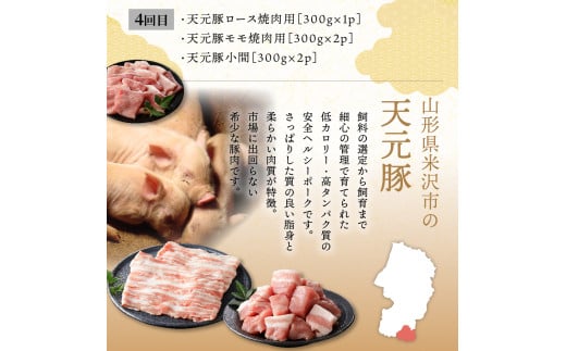 【定期便】 4ヶ月定期便 天元豚 セット 全4回 豚肉 ロース バラ 小間 モモ 挽き肉 便利 小分け 冷凍 豚肉 しゃぶしゃぶ 焼肉 とんかつ 定期 コース 食べ比べ 詰め合わせ ブランド豚 ロース ひき肉 小間 バラ モモ 豚 スライス サイコロ おかず お取り寄せ 東北 山形県 米沢市